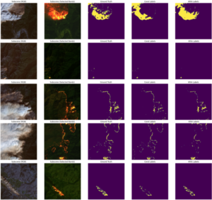 Fire detection results: satellite image tiles with ground-truth and predicted fire masks